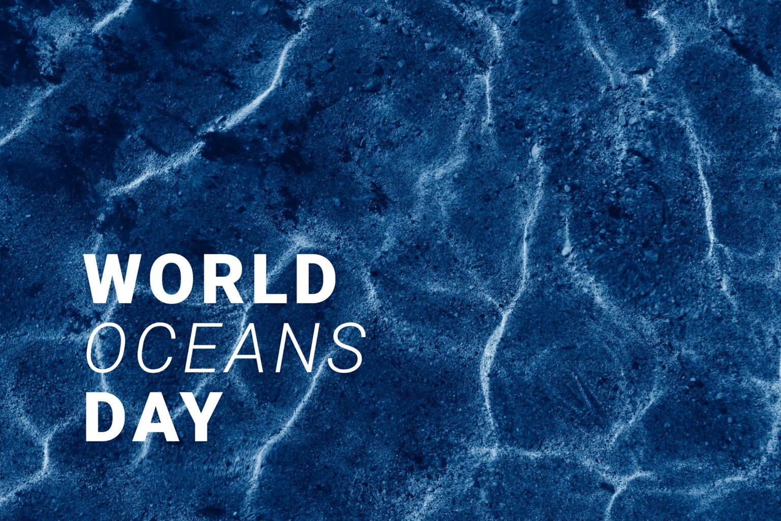 Abstract pattern sea bottom water caustic texture background water with text World Ocean day